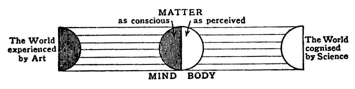 mind / body