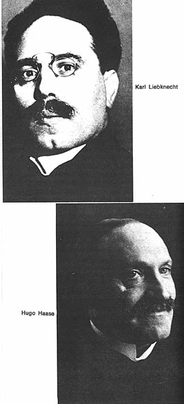 Karl Liebknecht, Hugo Haase