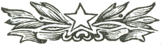 Stylized chapter break graphic