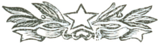 Stylized chapter break graphic